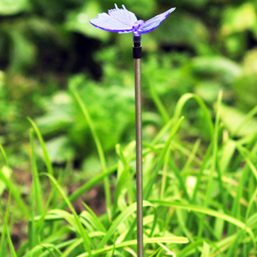 Solar Butterfly stavelys